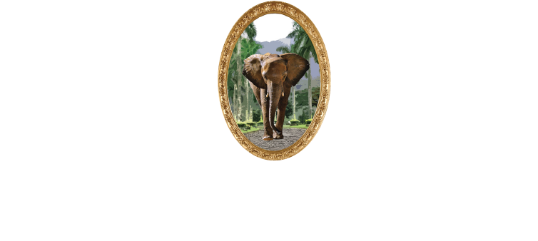 Elephant Corridor